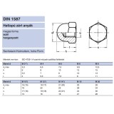 MAGAS ZÁRTANYA M06 /5/ DIN 1587 HG. -GÖMB FORMA  ANYACSAVAR