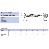 FAFORGÁCSLAPCSAVAR SF D3.0*20 DIN 7505 FEKETE HG. KH PZ TM IMPORT EGYEDI UTOLSÓ DARABOK FAFORGÁCSLAP CSAVAR